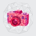 Pink camera in a geometric style on a gray background